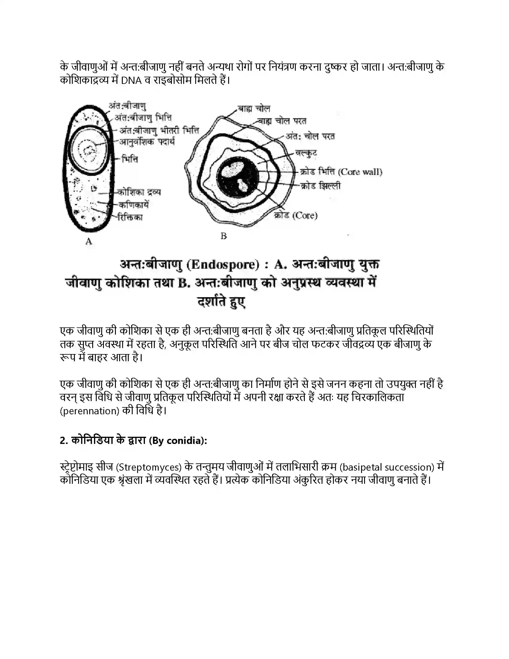 RBSE Class 11th जीव विज्ञान जगत् मोनेरा, प्रोटिस्टा तथा कवकें Solution 18