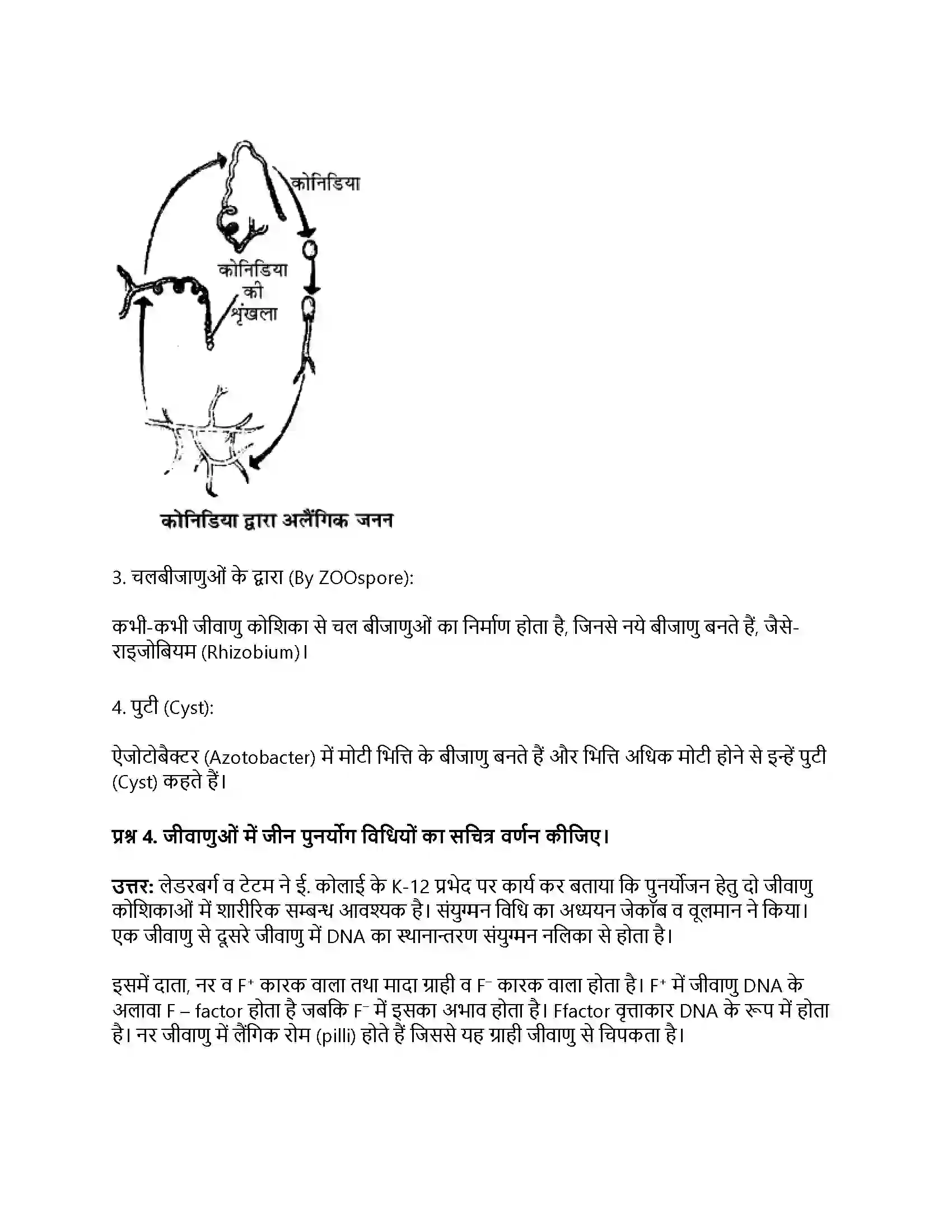 RBSE Class 11th जीव विज्ञान जगत् मोनेरा, प्रोटिस्टा तथा कवकें Solution 19