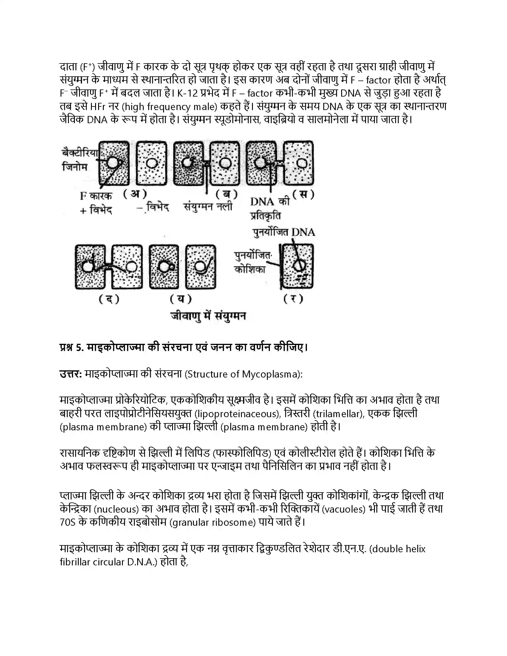 RBSE Class 11th जीव विज्ञान जगत् मोनेरा, प्रोटिस्टा तथा कवकें Solution 20