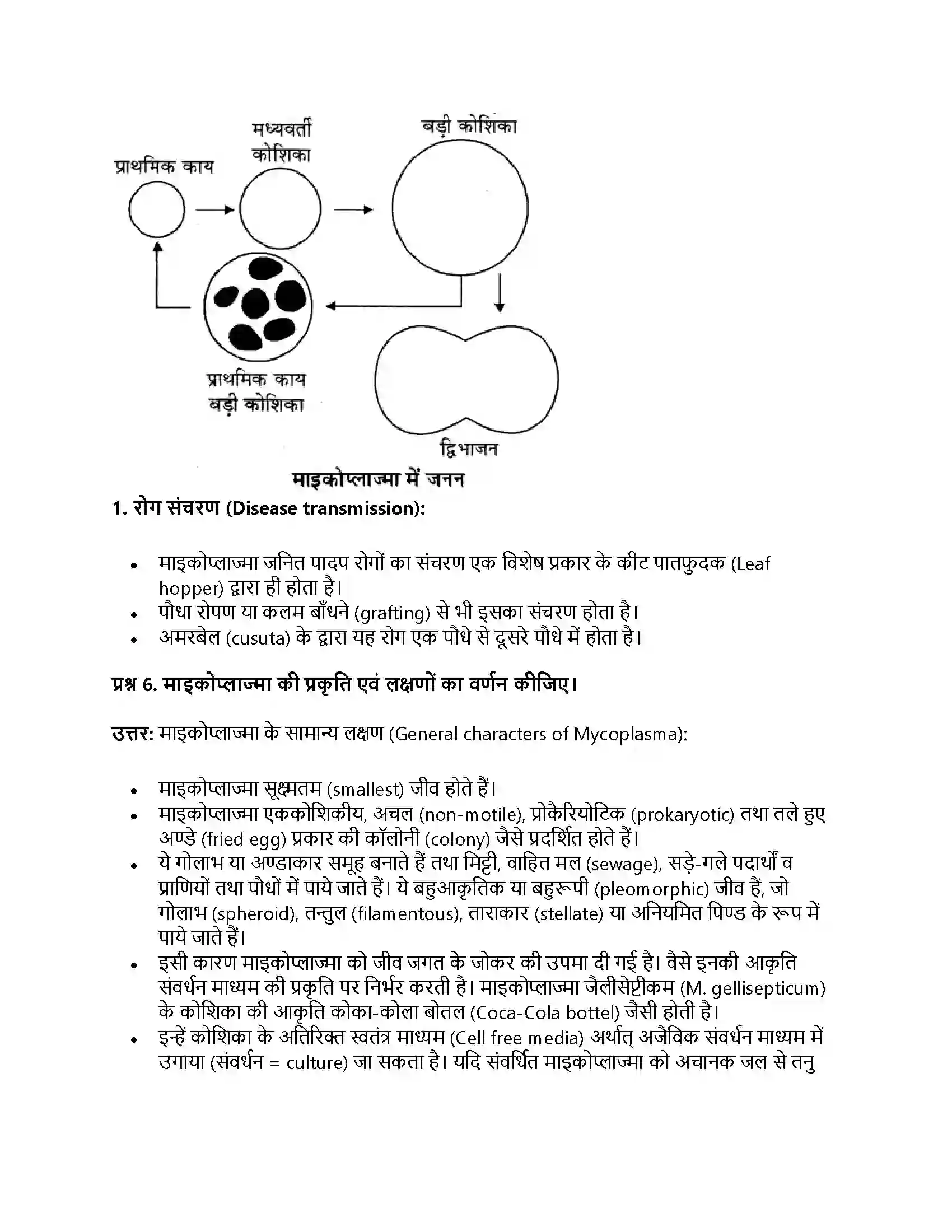 RBSE Class 11th जीव विज्ञान जगत् मोनेरा, प्रोटिस्टा तथा कवकें Solution 22