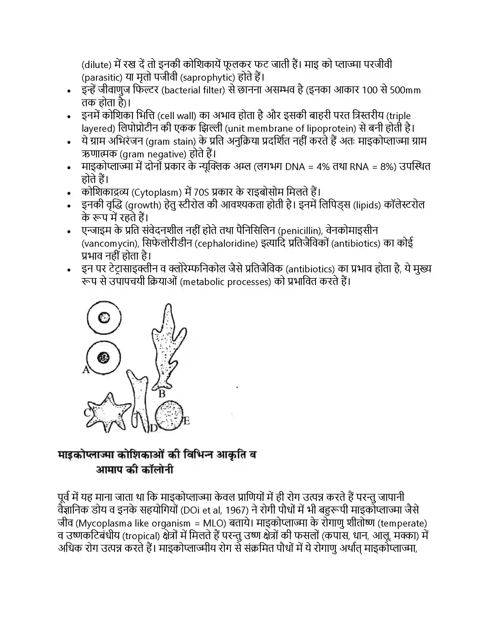 RBSE Class 11th जीव विज्ञान जगत् मोनेरा, प्रोटिस्टा तथा कवकें Solution 23