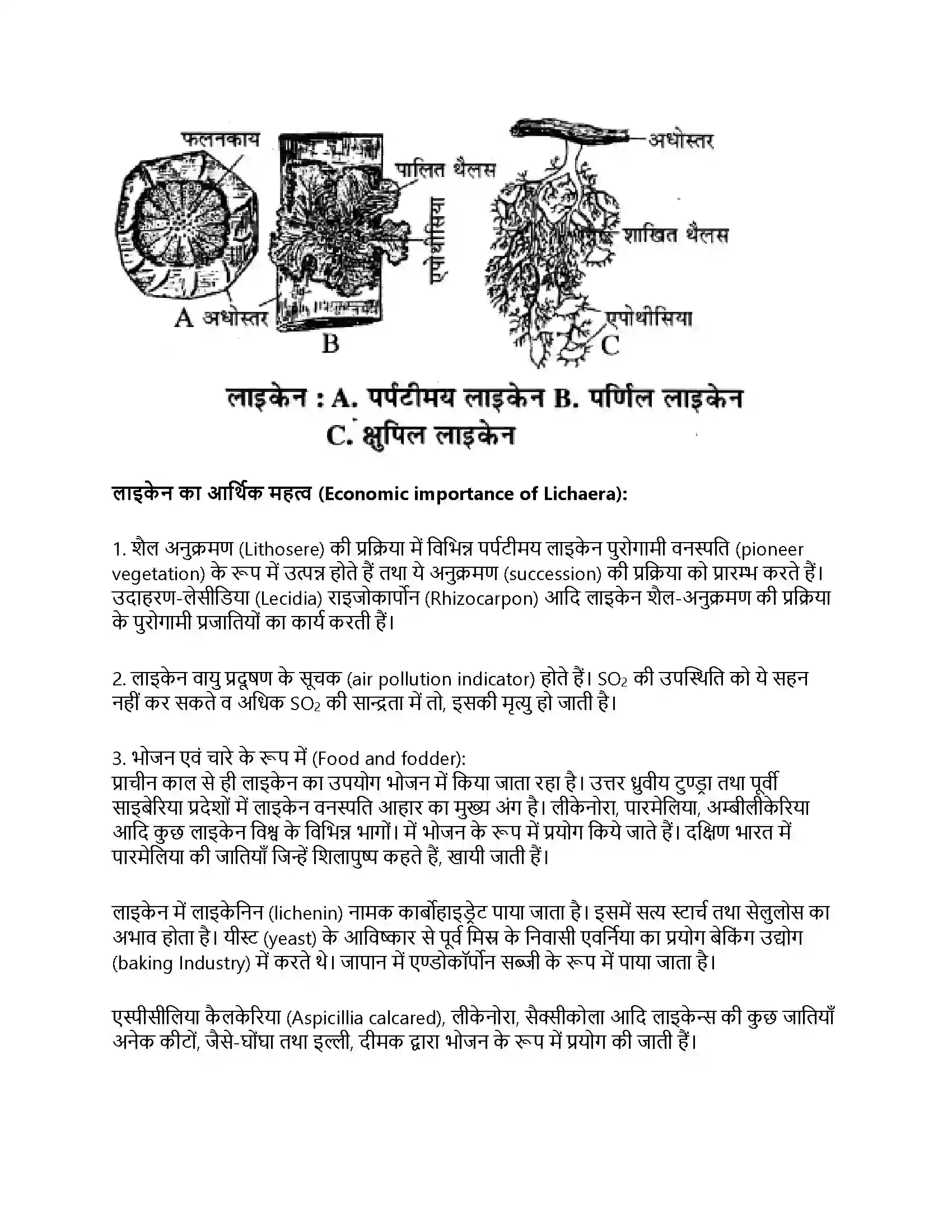 RBSE Class 11th जीव विज्ञान जगत् मोनेरा, प्रोटिस्टा तथा कवकें Solution 31