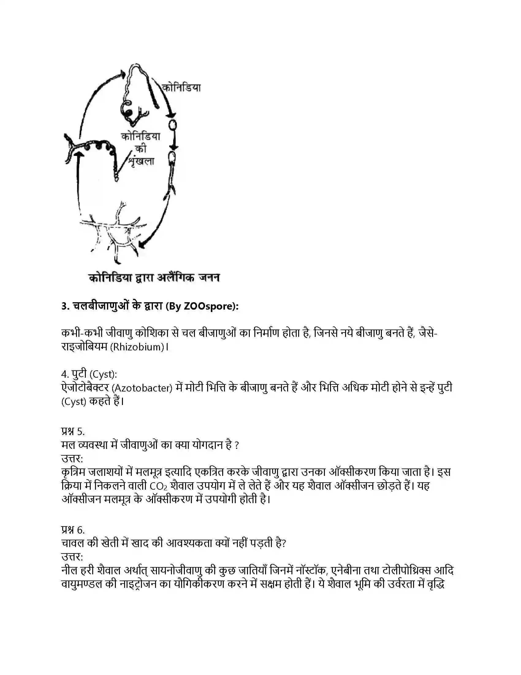 RBSE Class 11th जीव विज्ञान जगत् मोनेरा, प्रोटिस्टा तथा कवकें Solution 40