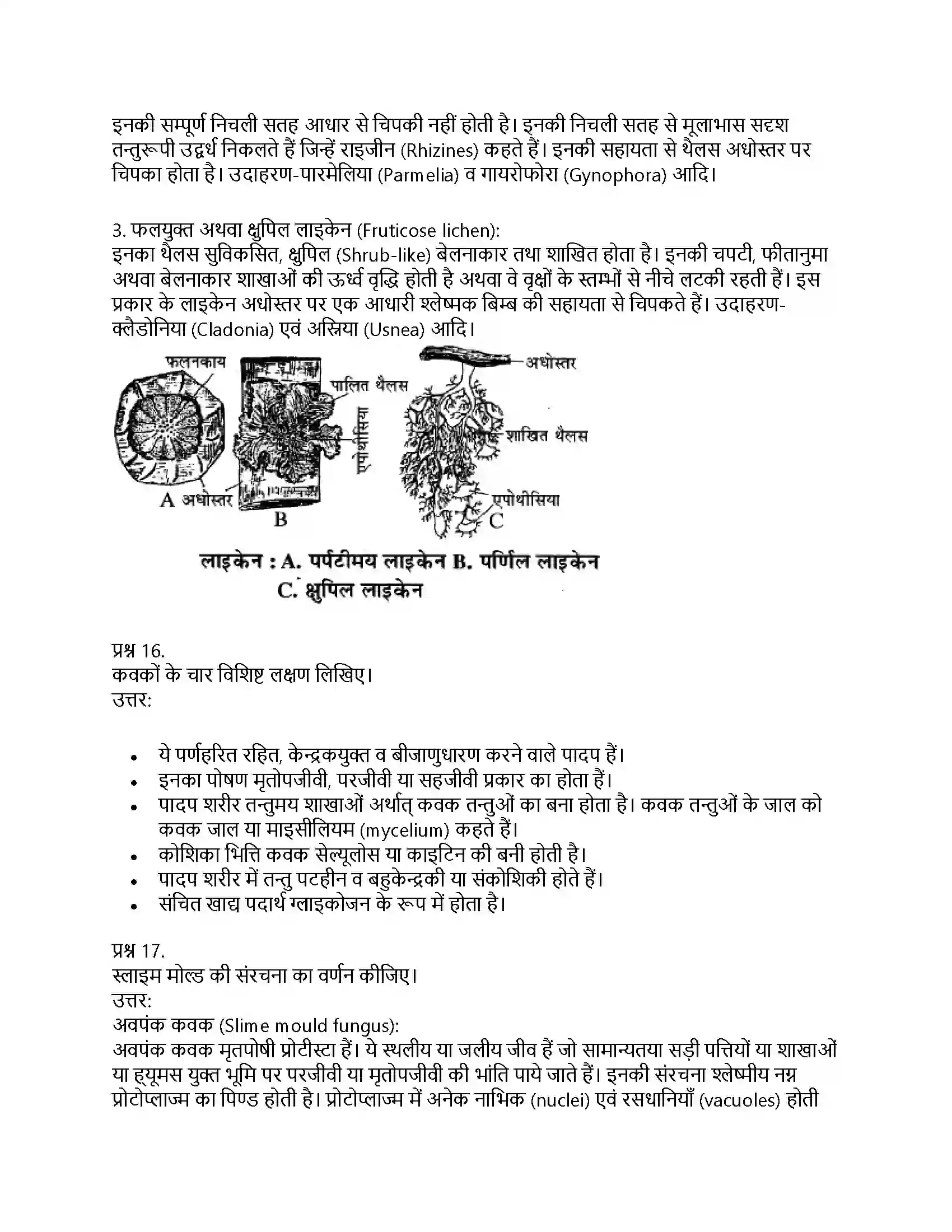 RBSE Class 11th जीव विज्ञान जगत् मोनेरा, प्रोटिस्टा तथा कवकें Solution 45