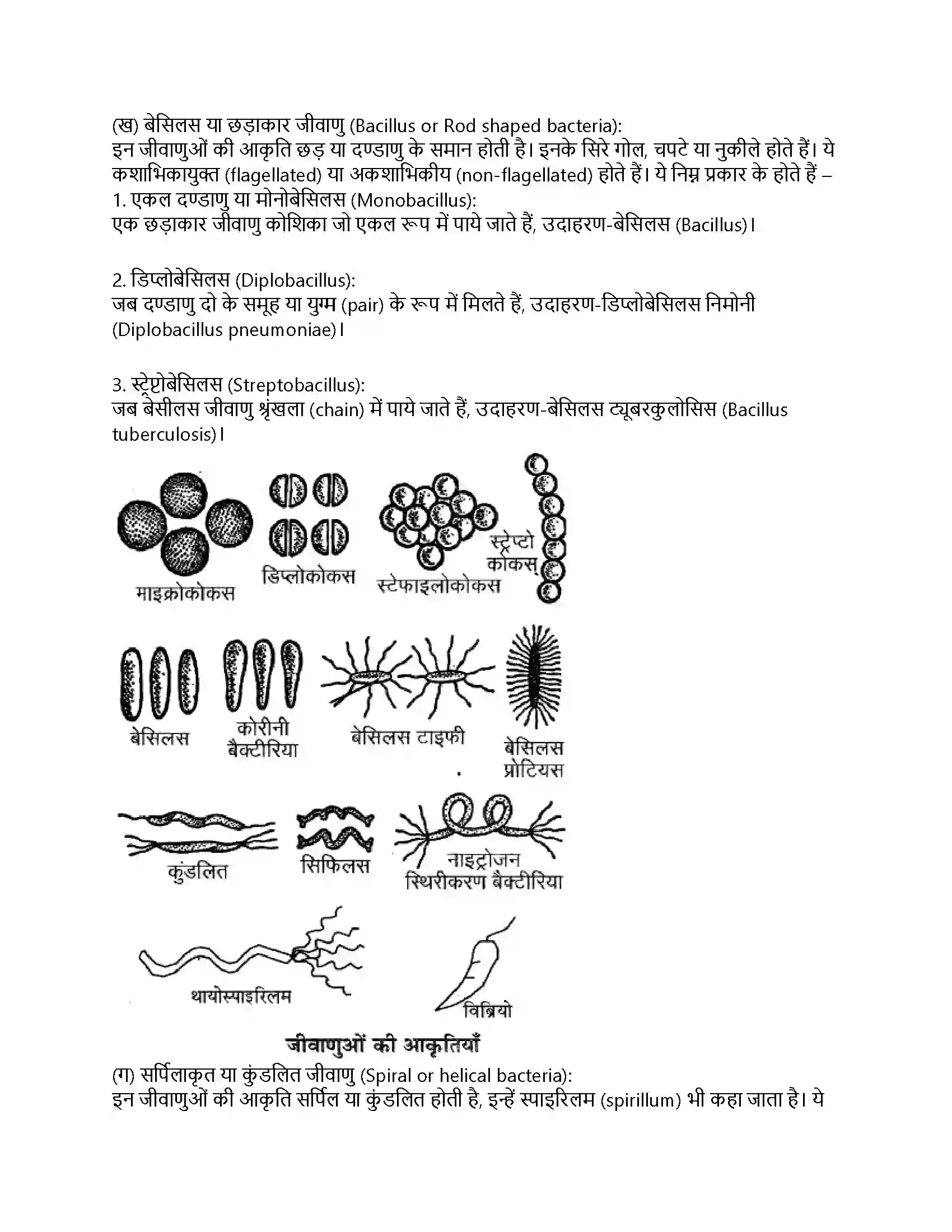 RBSE Class 11th जीव विज्ञान जगत् मोनेरा, प्रोटिस्टा तथा कवकें Solution 47