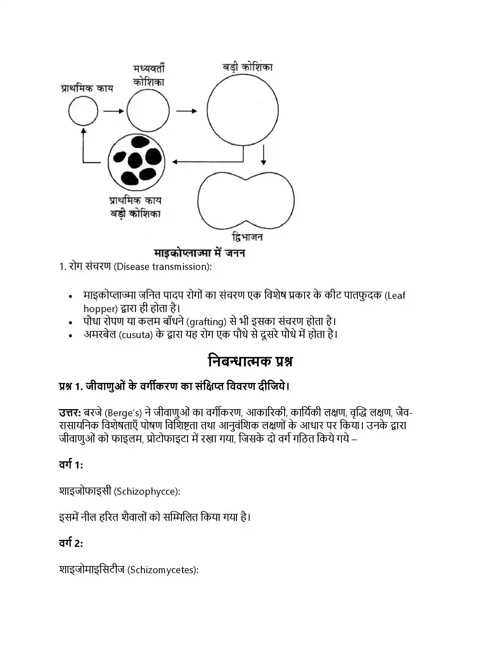 RBSE Class 11th जीव विज्ञान जगत् मोनेरा, प्रोटिस्टा तथा कवकें Solution 9