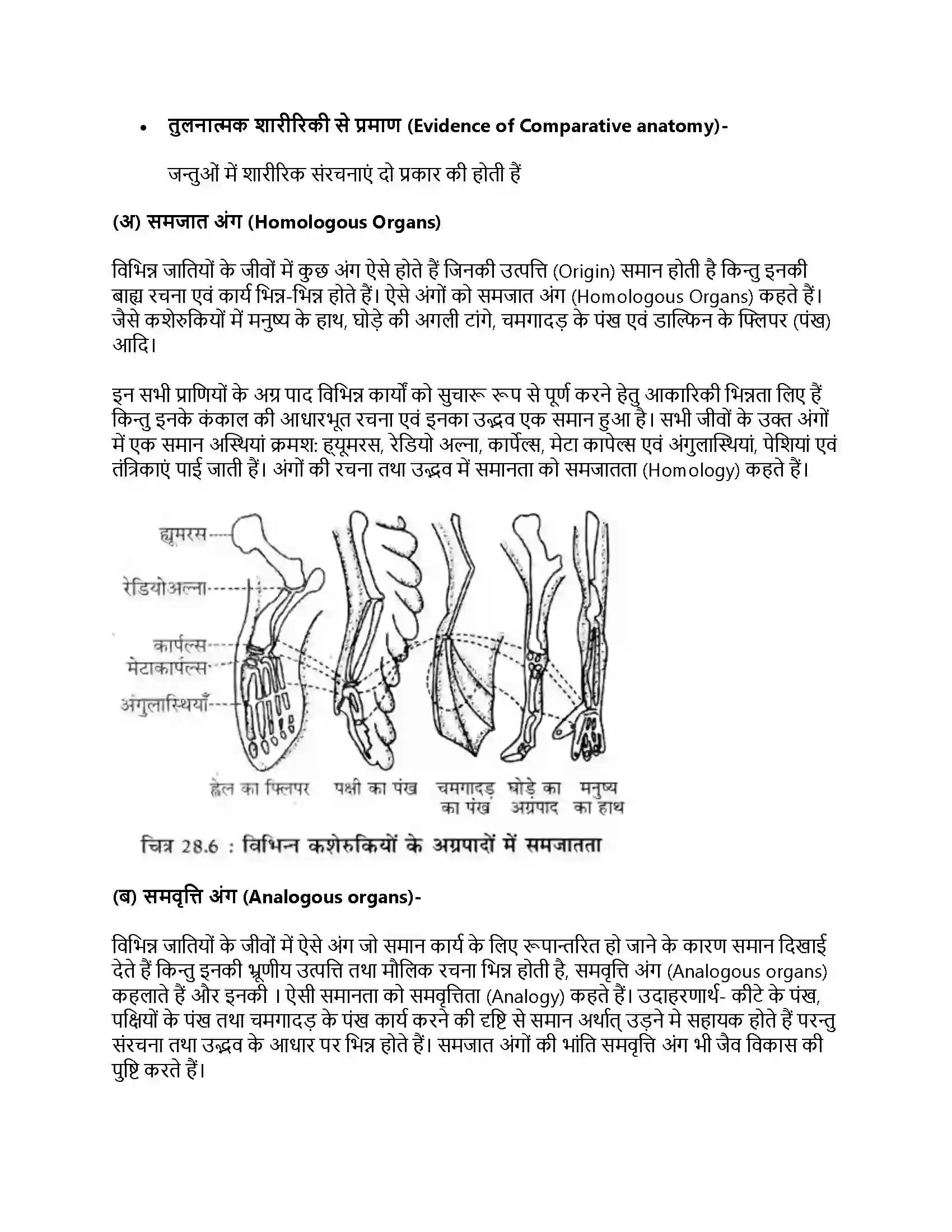 RBSE Class 11th जीव विज्ञान जीवन की उत्पत्ति एवं जैव विकास Solution 14