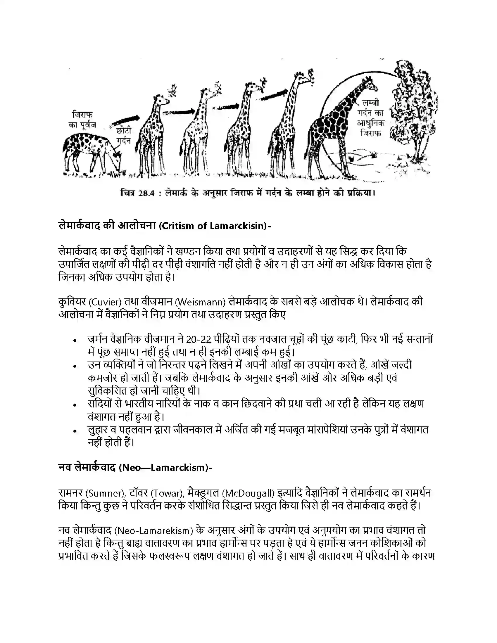RBSE Class 11th जीव विज्ञान जीवन की उत्पत्ति एवं जैव विकास Solution 18