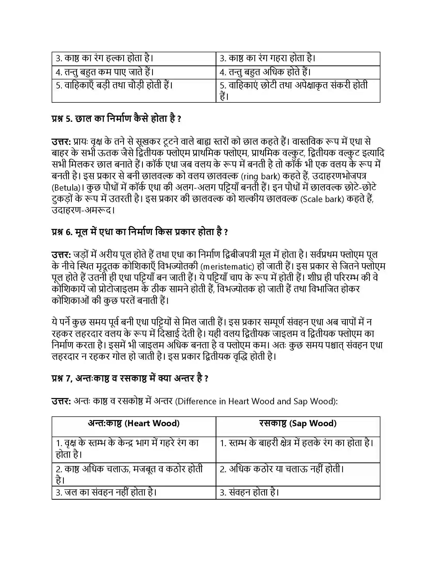 RBSE Class 11th जीव विज्ञान तने व जड़ में सामान्य द्वितीयक वृद्धि Solution 4