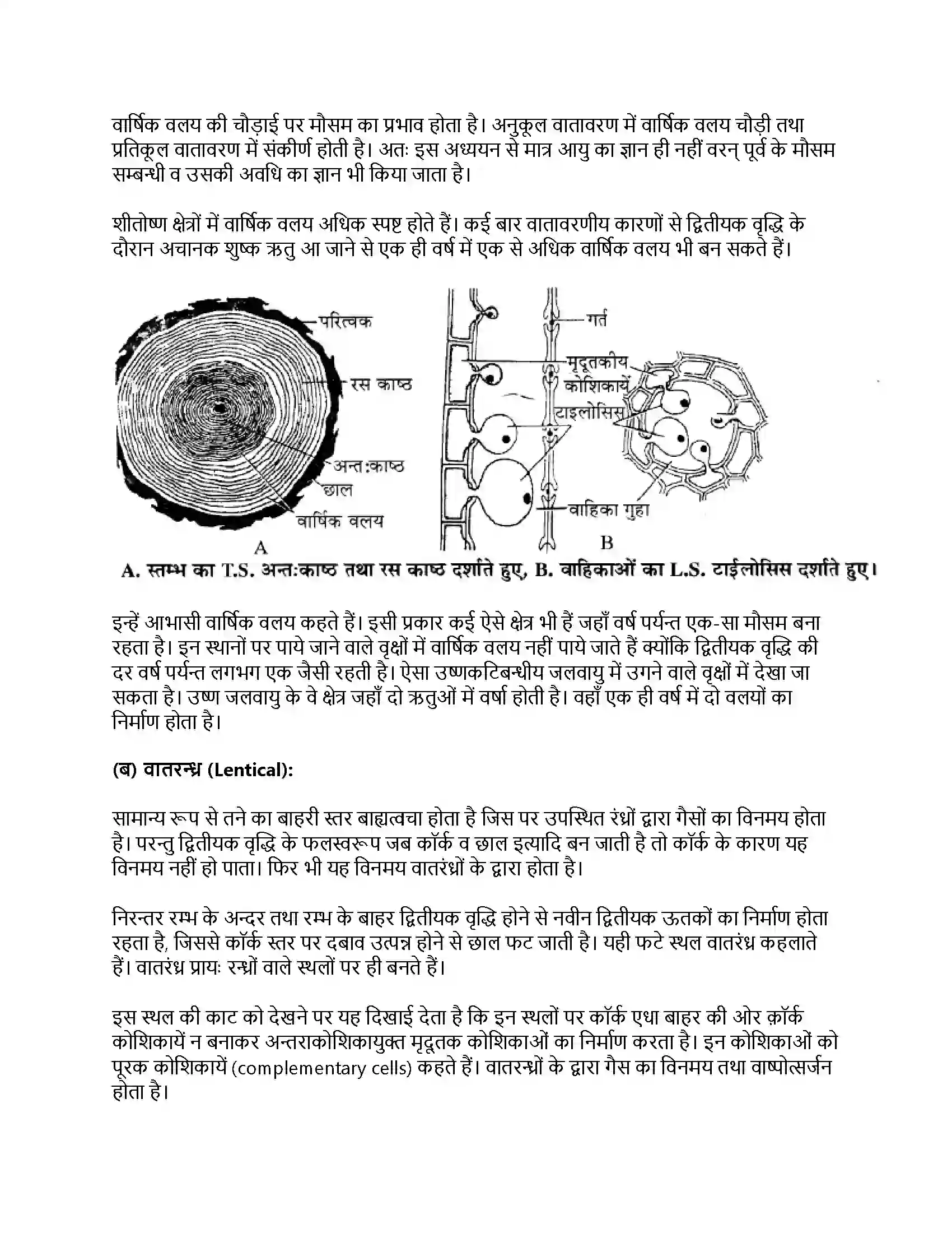 RBSE Class 11th जीव विज्ञान तने व जड़ में सामान्य द्वितीयक वृद्धि Solution 9