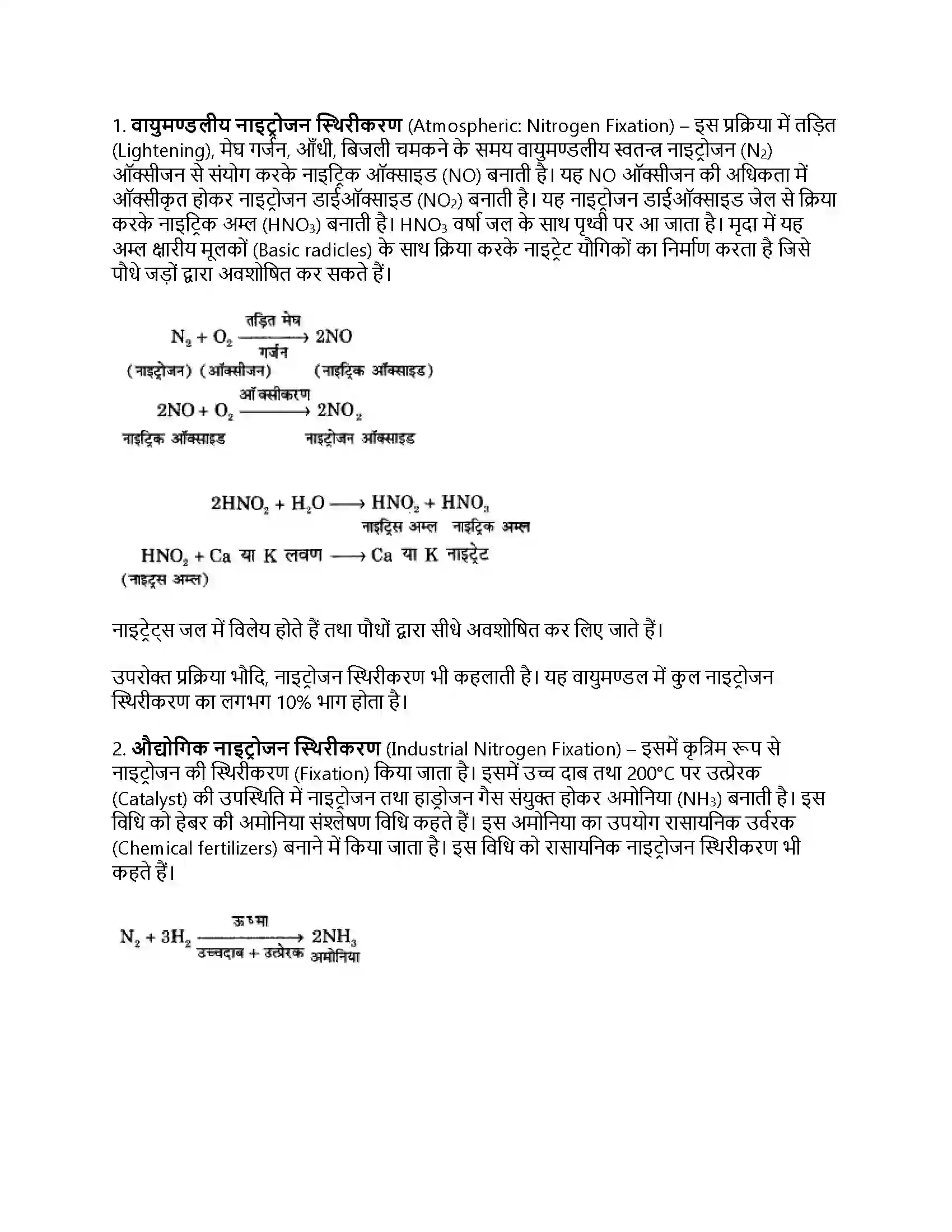 RBSE Class 12th जीवविज्ञान नाइट्रोजन उपापचय तथा नाइट्रोजन चक्र Solution 7
