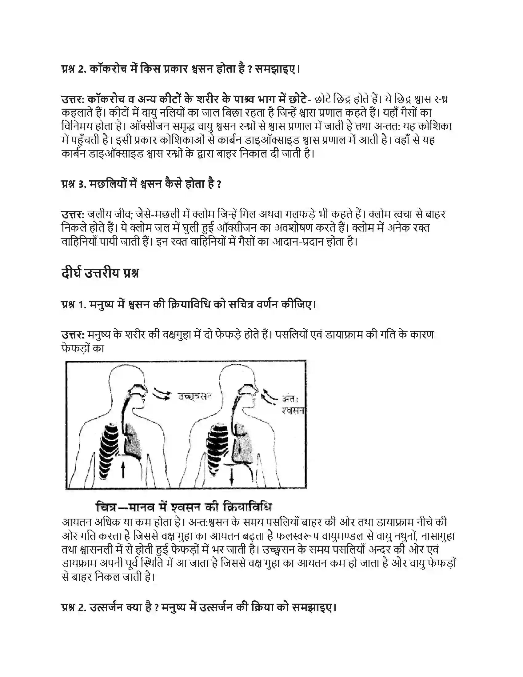 RBSE Class 7th विज्ञान जन्तुओं में श्वसन एवं उत्सर्जन Solution 10