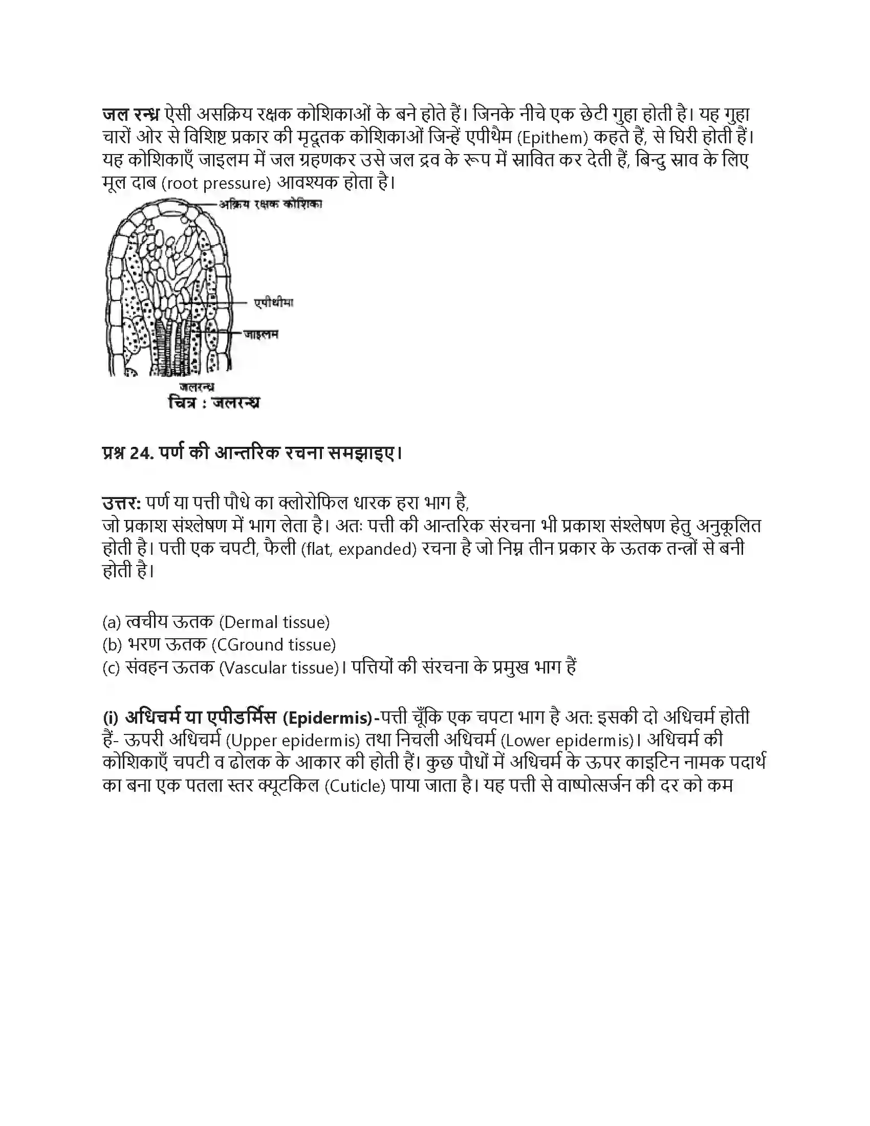 RBSE Class 9th विज्ञान सजीवों की प्रमुख क्रियाएँ। Solution 11
