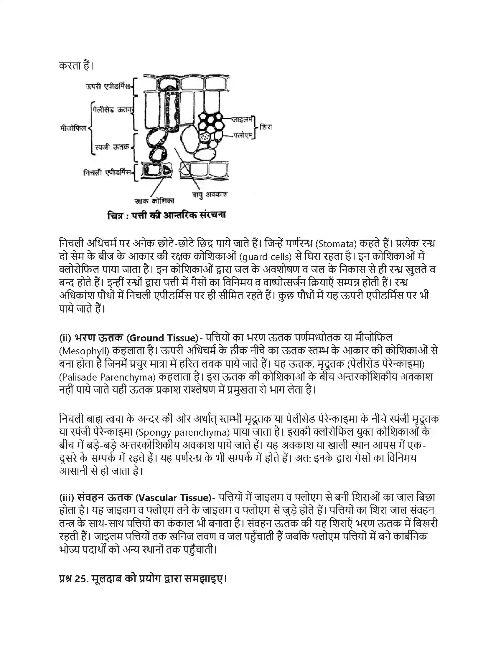 RBSE Class 9th विज्ञान सजीवों की प्रमुख क्रियाएँ। Solution 12
