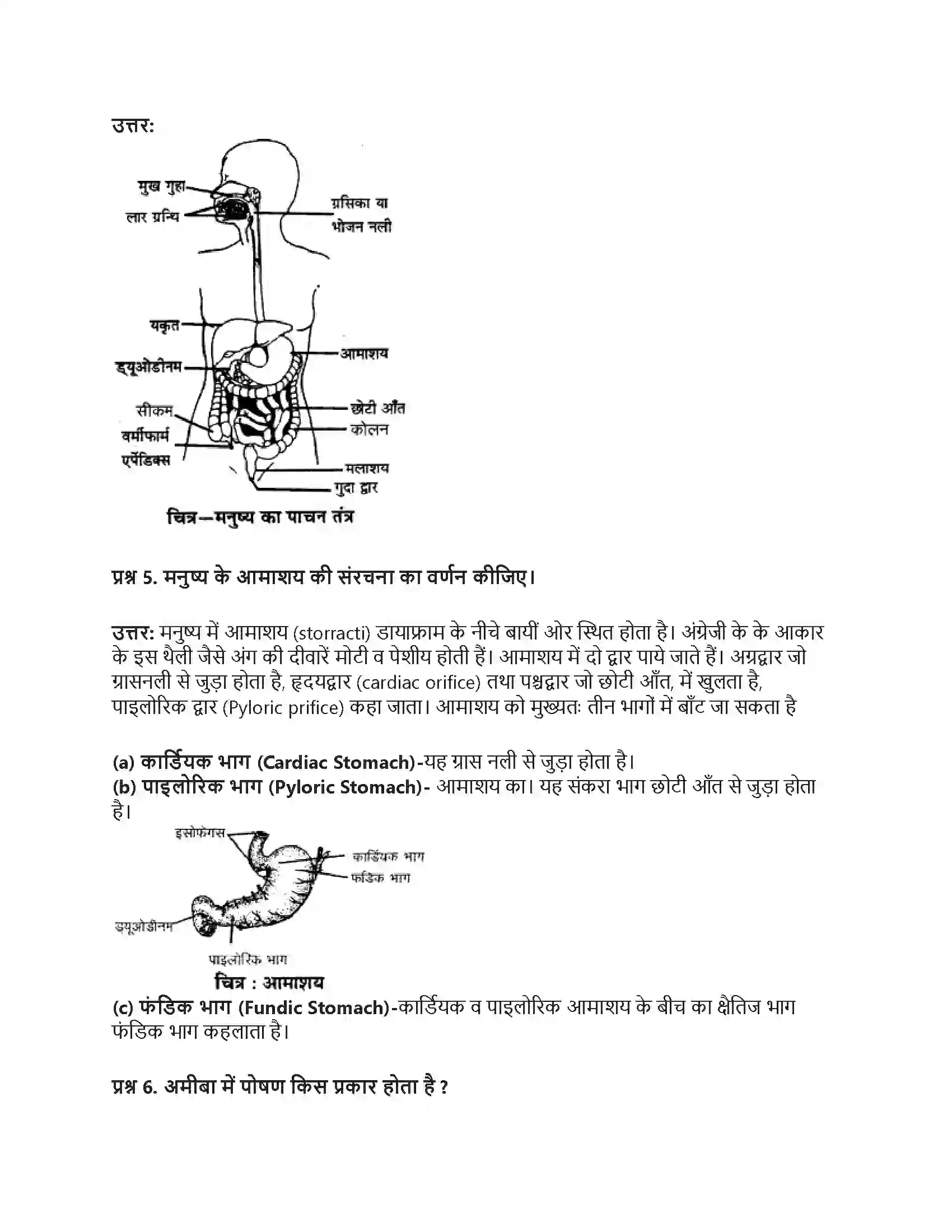 RBSE Class 9th विज्ञान सजीवों की प्रमुख क्रियाएँ। Solution 32