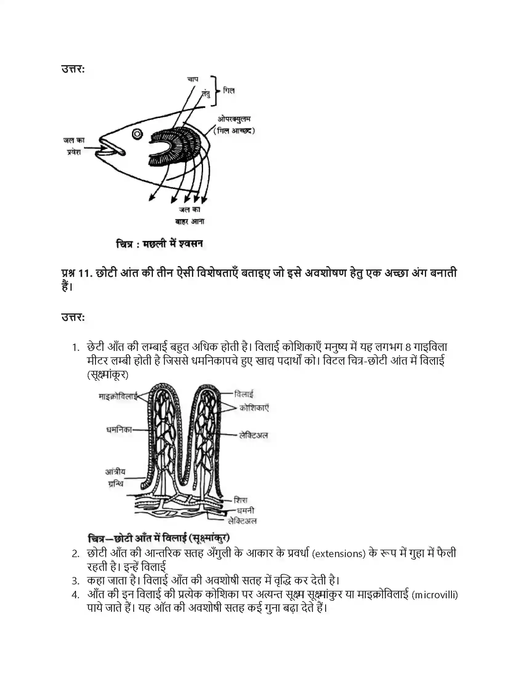 RBSE Class 9th विज्ञान सजीवों की प्रमुख क्रियाएँ। Solution 35