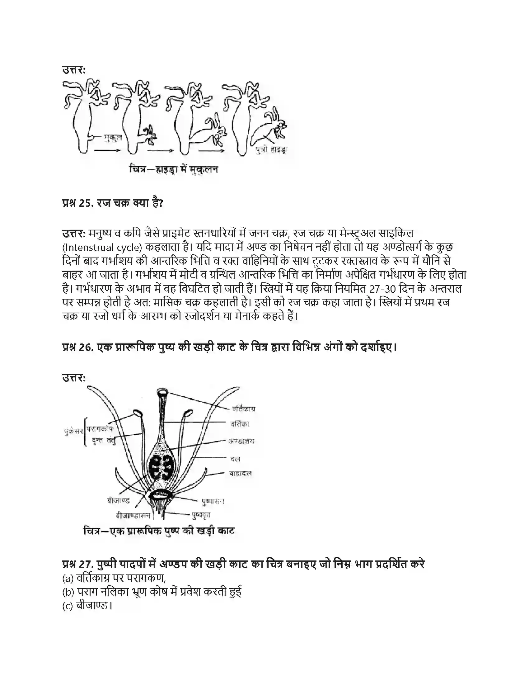 RBSE Class 9th विज्ञान सजीवों की प्रमुख क्रियाएँ। Solution 42