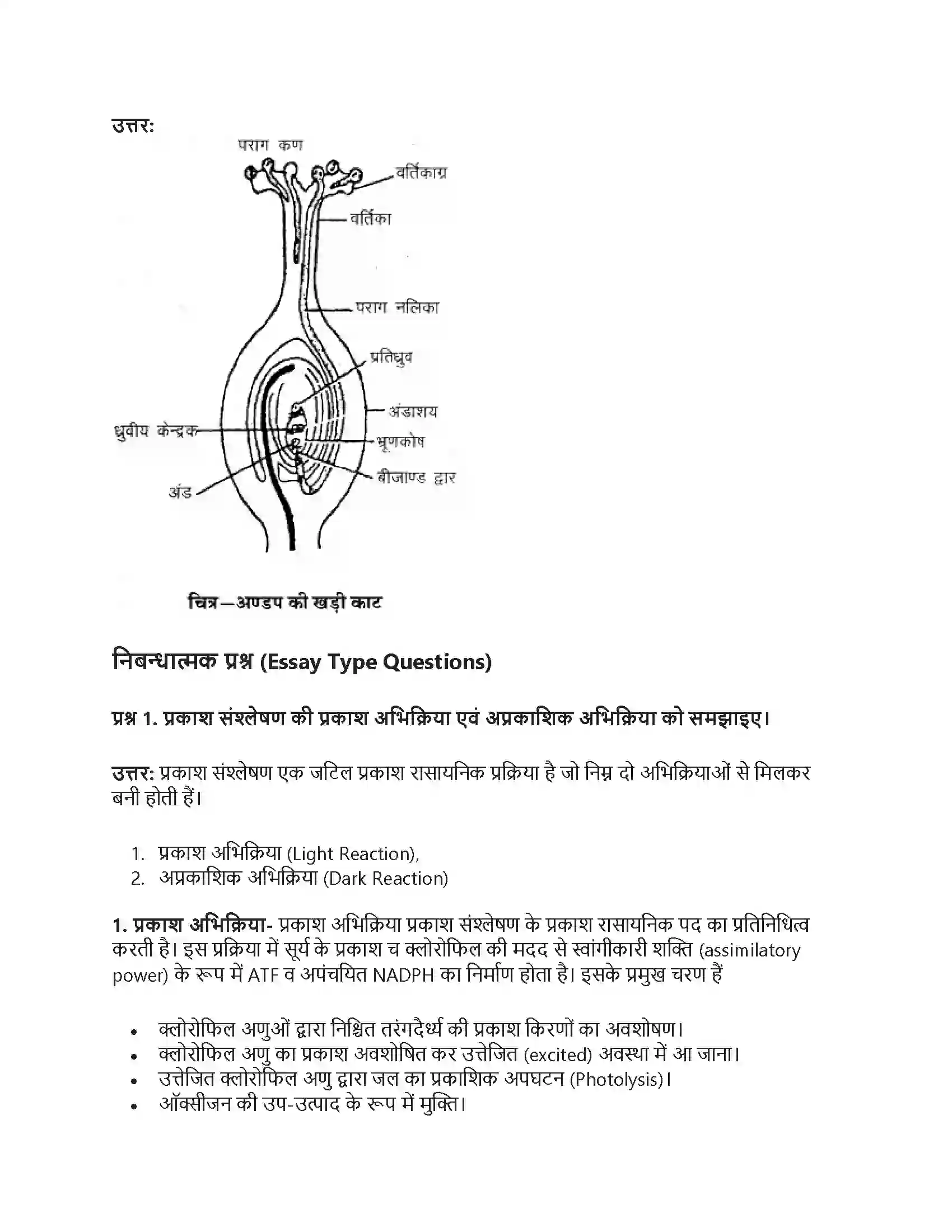 RBSE Class 9th विज्ञान सजीवों की प्रमुख क्रियाएँ। Solution 43